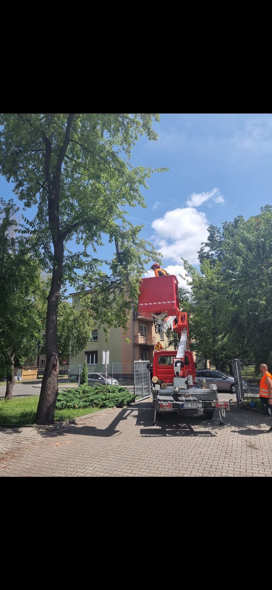 Pracownik w pomarańczowym kombinezonie w podnośniku koszowym przycina gałęzie drzewa na tle budynku mieszkalnego i błękitnego nieba z chmurami.
