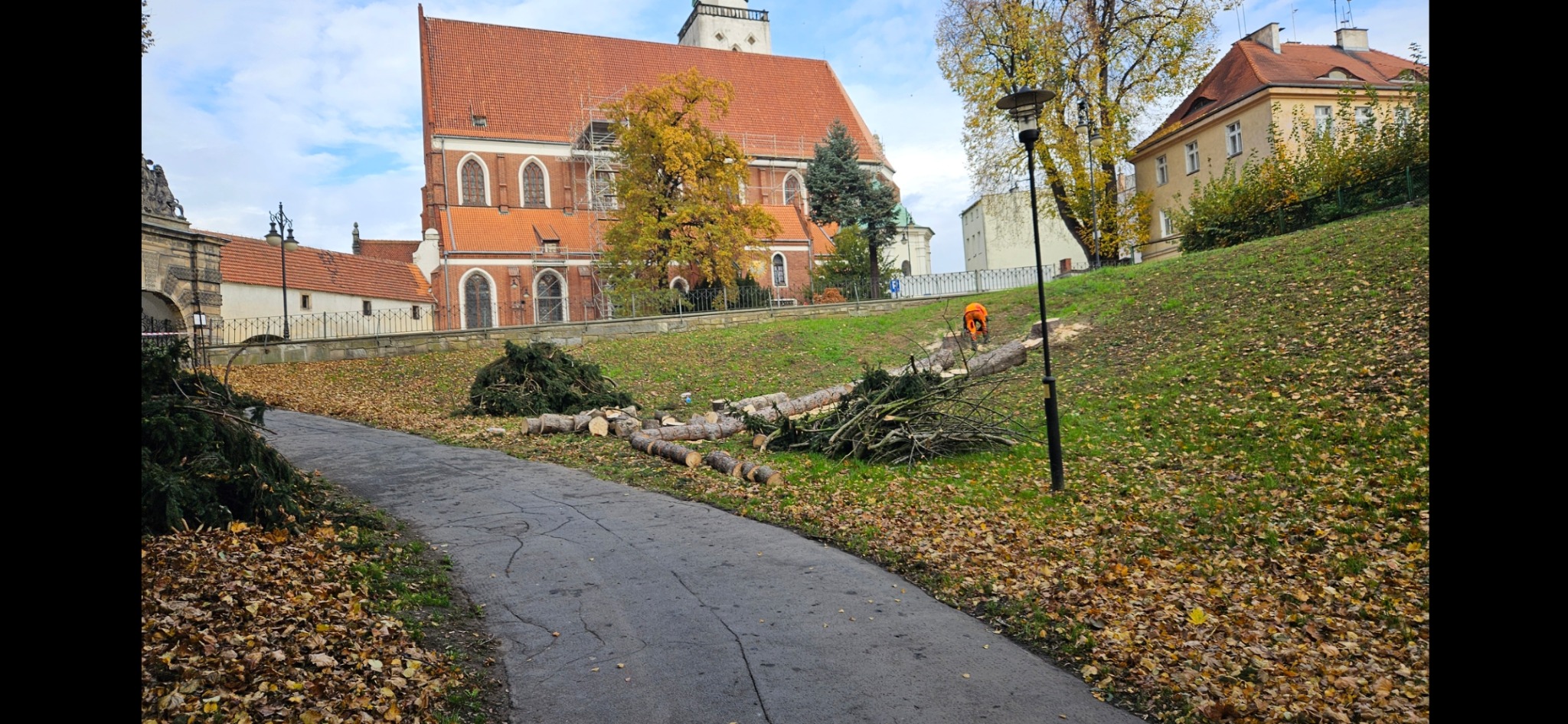 Pracownik w pomarańczowym kombinezonie tnie drzewo na zboczu wzgórza w parku miejskim, w tle widoczny zabytkowy budynek z czerwonej cegły i opadłe liście.