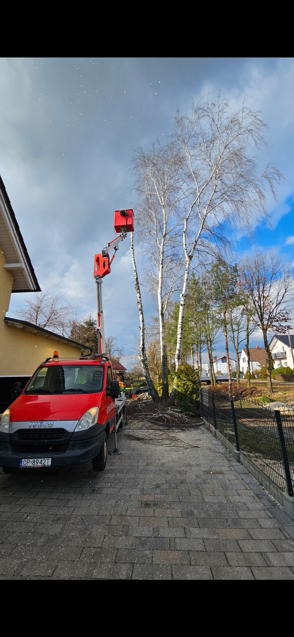 Czerwony podnośnik koszowy ustawiony obok trzech brzóz bez liści na posesji z kostki brukowej, w tle domy i drzewa iglaste.