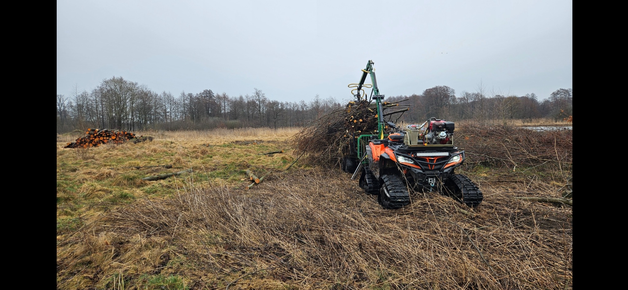Pomarańczowy pojazd terenowy z gąsienicami i dźwigiem załadowany gałęziami na podmokłym terenie, w tle stos pociętego drewna.