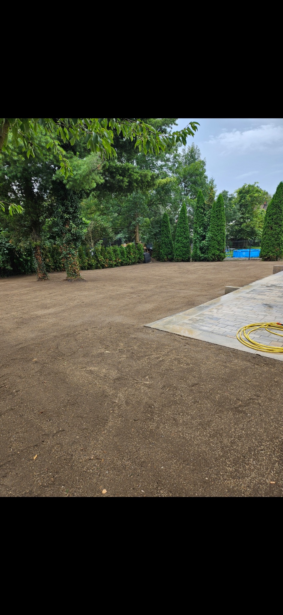 Przygotowany teren pod trawnik z rolki, widoczne drzewa, tuje i fragment nawierzchni z kostki brukowej oraz zwinięty wąż ogrodowy