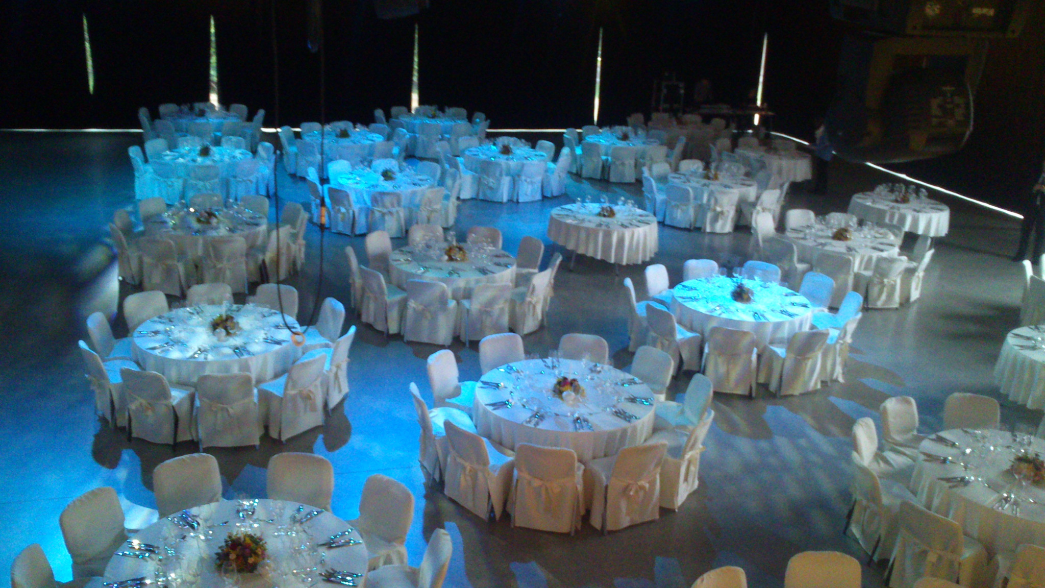 Sala balowa z okrągłymi stołami nakrytymi białymi obrusami, krzesła z białymi pokrowcami i kokardami, centralnie ustawione kompozycje kwiatowe, oświetlenie punktowe w kolorze niebieskim.