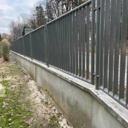 Długi, szary, metalowy płot z pionowych prętów, osadzony na betonowym murku, otoczony trawą z opadłymi liśćmi i drzewami w tle pod pochmurnym niebem.