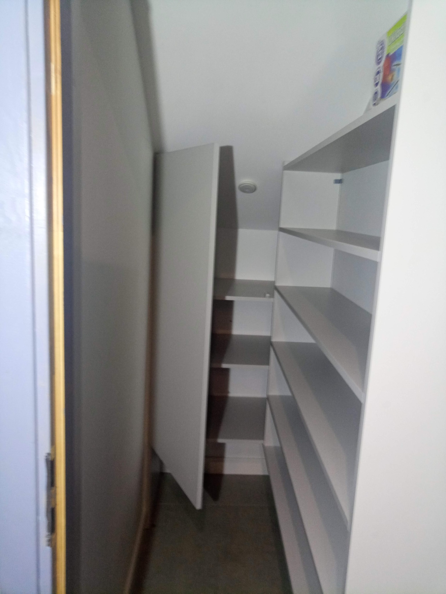 Wnętrze białej szafy wnękowej z półkami, widok z wnętrza pomieszczenia, drzwi szafy uchylone, oświetlenie sufitowe.