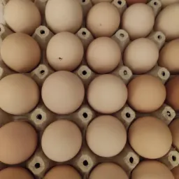 Karton wytłaczanka wypełniony świeżymi kurzymi produktami o różnych odcieniach beżu i brązu, widoczne drobne zabrudzenia na skorupkach.