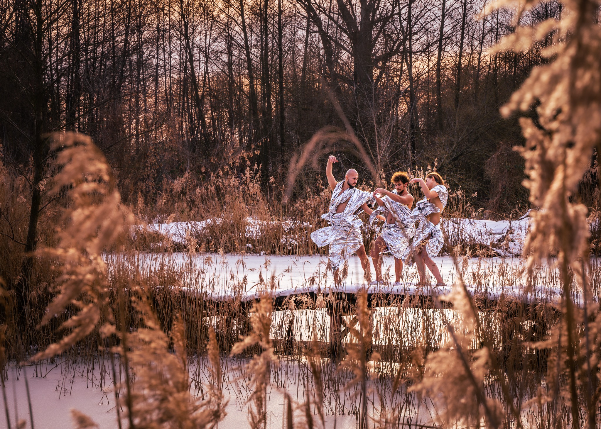 Trzech tancerzy owiniętych srebrną folią na drewnianym pomoście na zamarzniętym jeziorze, otoczonych trzcinami i zimowym lasem o zachodzie słońca.