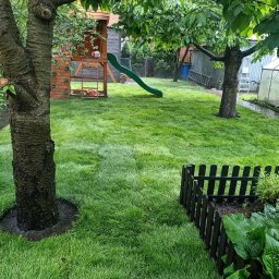 Magic Garden - Soczysta, świeżo założona darń otacza drzewa i plac zabaw. Mała, czarna palisada oddziela rabatę z zielenią. W tle szklarnia i budynek gospodarczy.