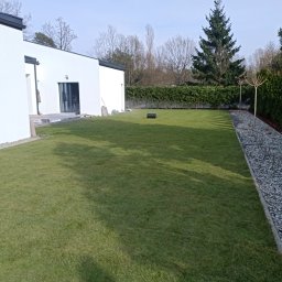 Magic Garden - Świeżo ułożona, soczysta zieleń w ogrodzie w Ozorkowie, kontrastująca z bielą nowoczesnego domu i szarą rabatą z kamyków. Widoczne drzewa i krzewy w tle.