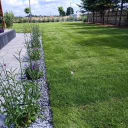 Trawa z rolki Ozorków 4