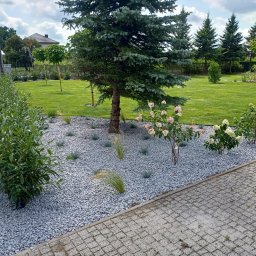 Magic Garden - Projektowanie ogrodów Zgierz