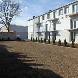 Trawa z rolki Ozorków 1