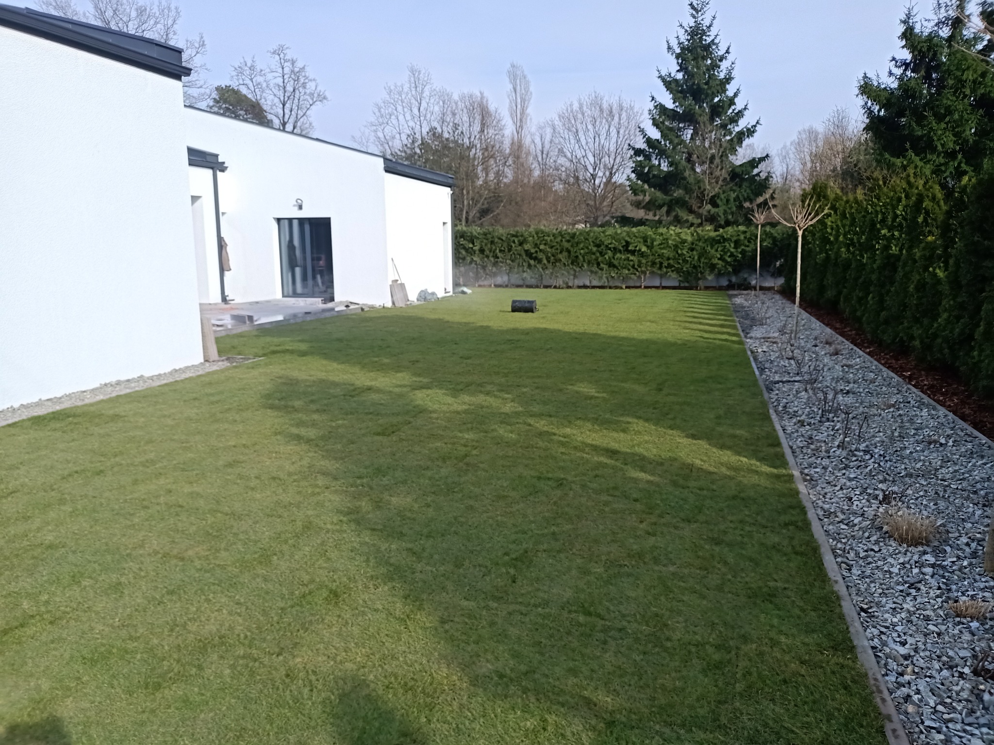 Świeżo ułożona, soczysta zieleń w ogrodzie w Ozorkowie, kontrastująca z bielą nowoczesnego domu i szarą rabatą z kamyków. Widoczne drzewa i krzewy w tle.