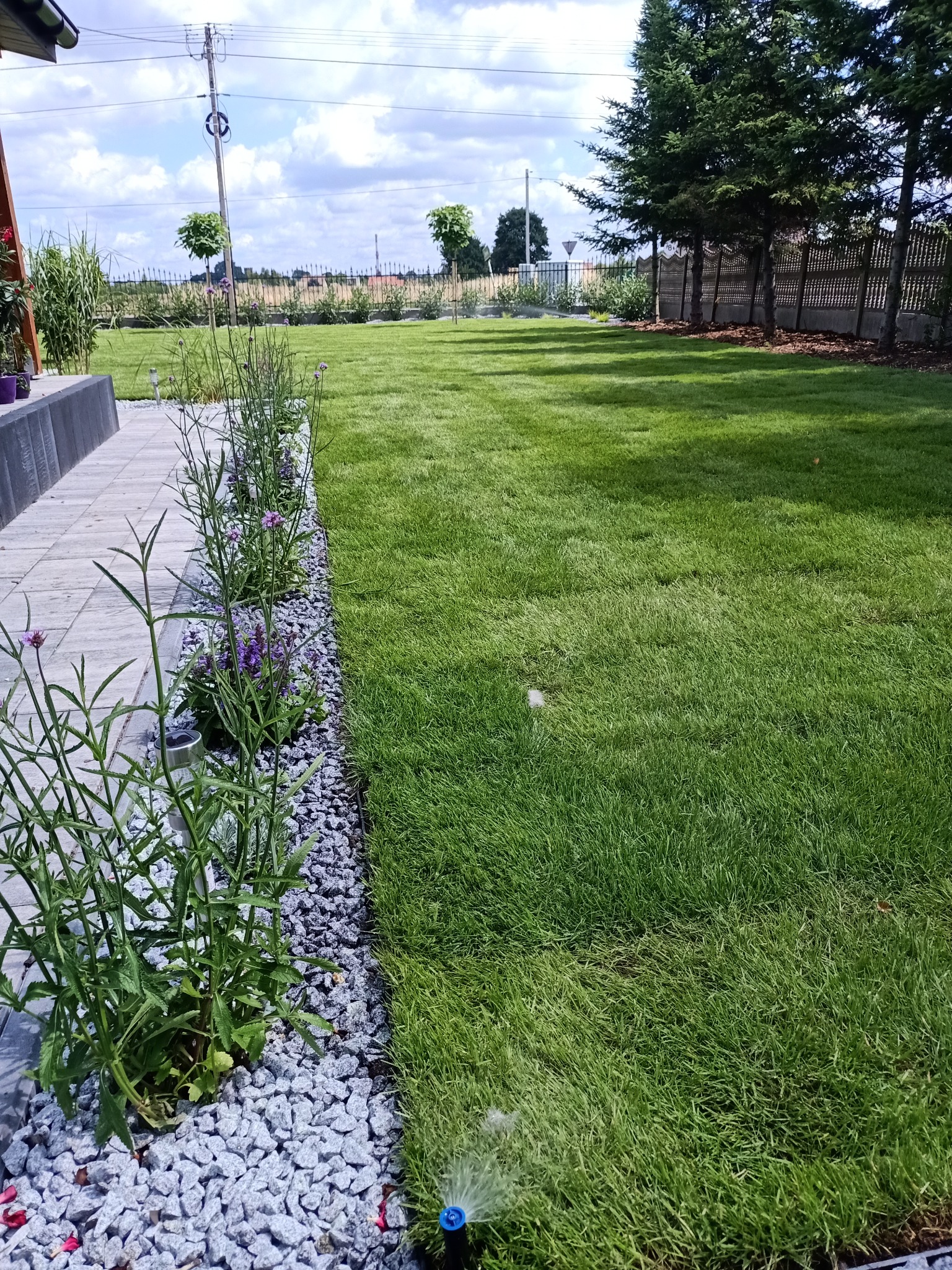 Zadbany trawnik z systemem nawadniania, obrzeża z kamienia i roślin, widok na ogród z drzewami i ogrodzeniem w tle, słoneczny dzień.