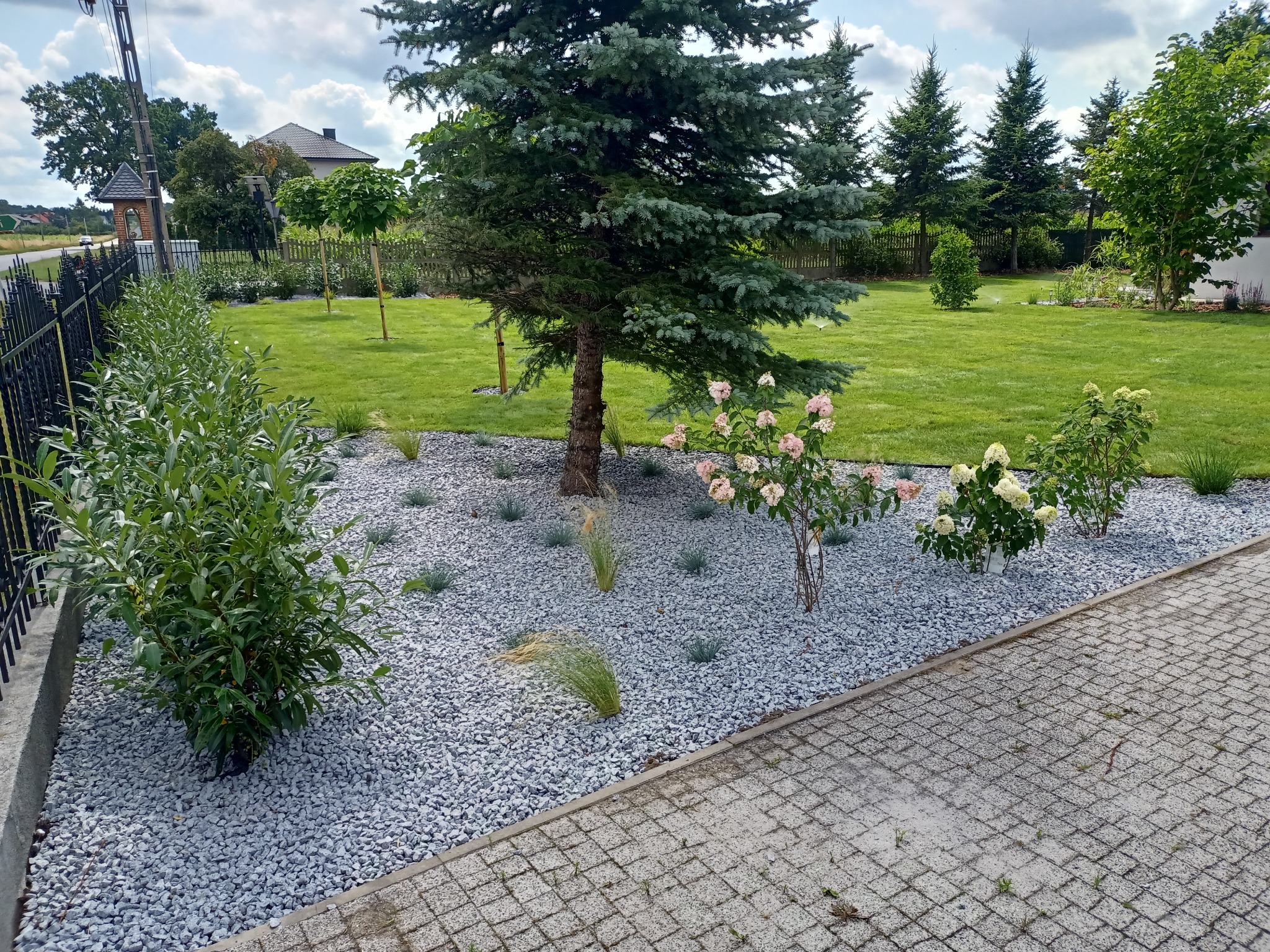 Ogród z nasadzeniami: iglaki, róże, trawy ozdobne, wysypany drobnym, szarym kamieniem. Widok z poziomu kostki brukowej, w tle dom i drzewa.