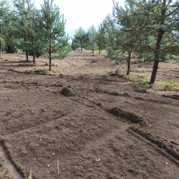 PPHU ECO-WARM BEATA SZLACHCIKOWSKA - Teren po usunięciu drzew, widoczne ślady po maszynach, kilka młodych sosen pozostało na miejscu, w tle stos pni.