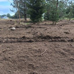 PPHU ECO-WARM BEATA SZLACHCIKOWSKA - Ziemia po karczowaniu drzew, widoczne ślady po maszynach, w tle pojedyncze drzewa i dom.