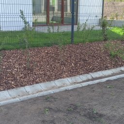 Wycinka drzew Gdańsk 4