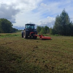 Wycinka drzew Gdańsk 1