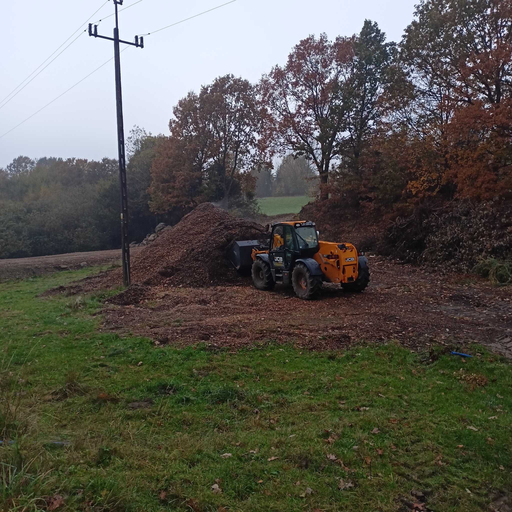 Żółta ładowarka teleskopowa JCB w Gdańsku, nabiera urobek z dużej pryzmy gałęzi i ziemi na tle jesiennego krajobrazu z drzewami i słupem energetycznym.