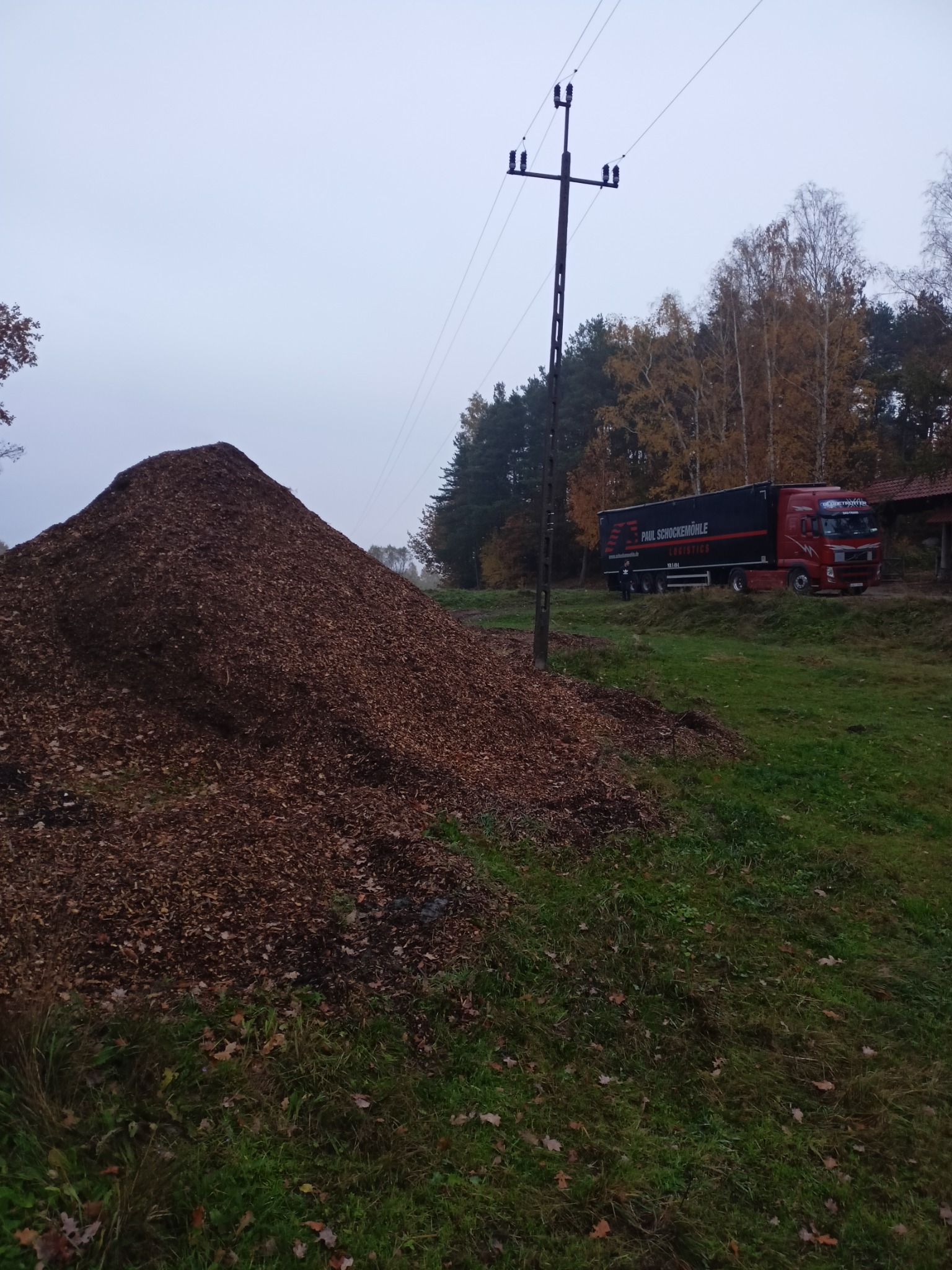 Góra zrębków drzewnych na trawiastym terenie, w tle zaparkowana ciężarówka firmy transportowej i słup wysokiego napięcia.