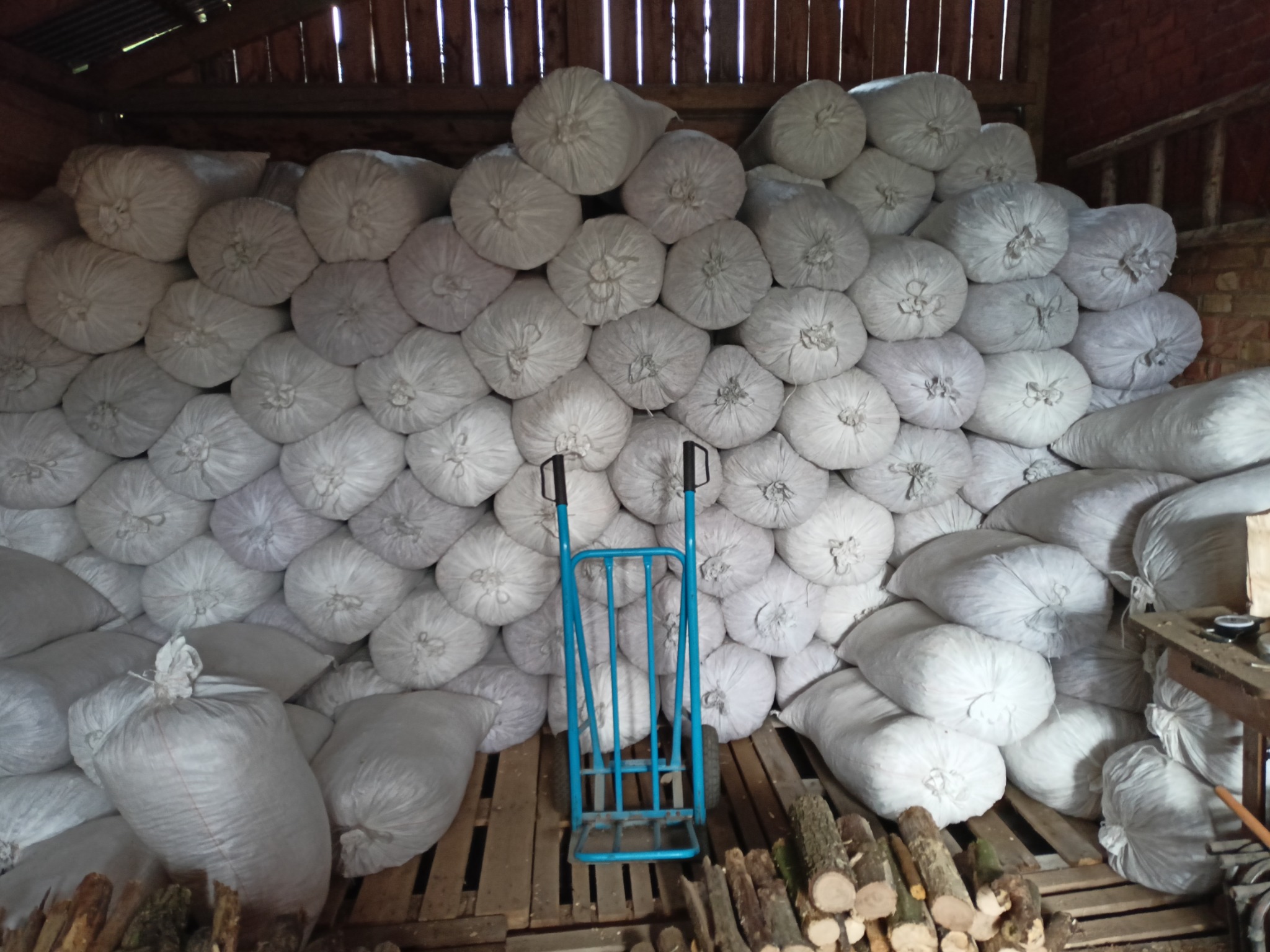 Stos worków z odpadami po wycince drzew ułożonych w magazynie, na pierwszym planie niebieski wózek transportowy i pocięte gałęzie.