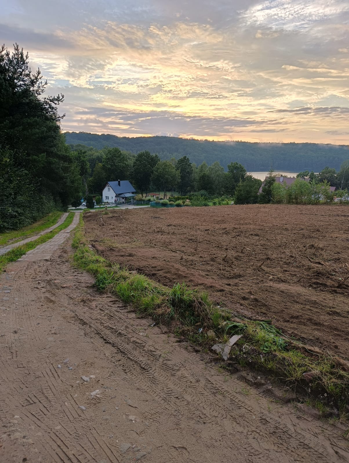 Przygotowane pole po usunięciu drzew, widok na dom i jezioro w oddali, ślady opon na piaszczystej drodze.