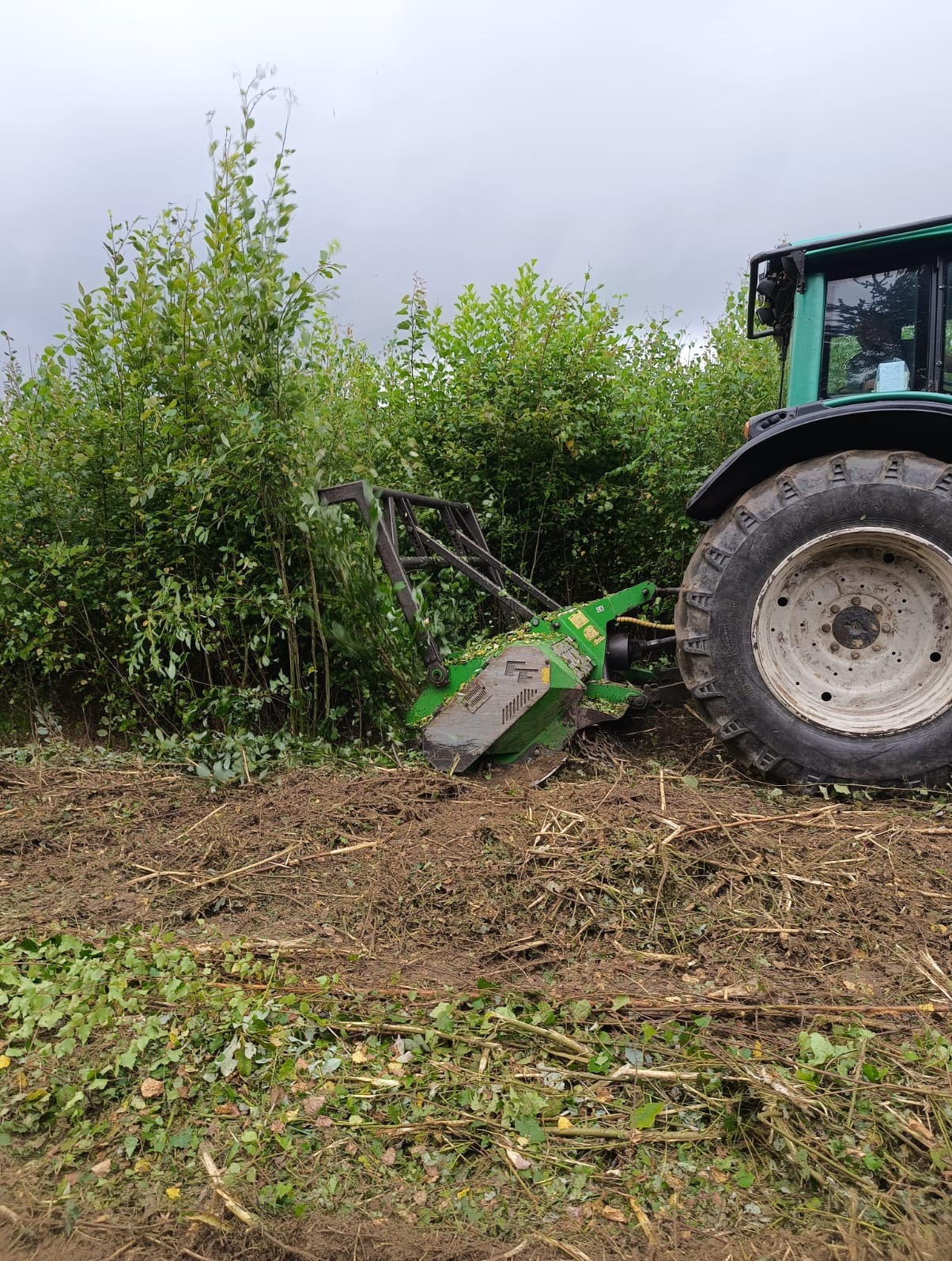 Zielony traktor z zamontowaną kosiarką bijakową przycinający krzewy na skraju pola, widoczne świeżo ścięte gałęzie i liście.