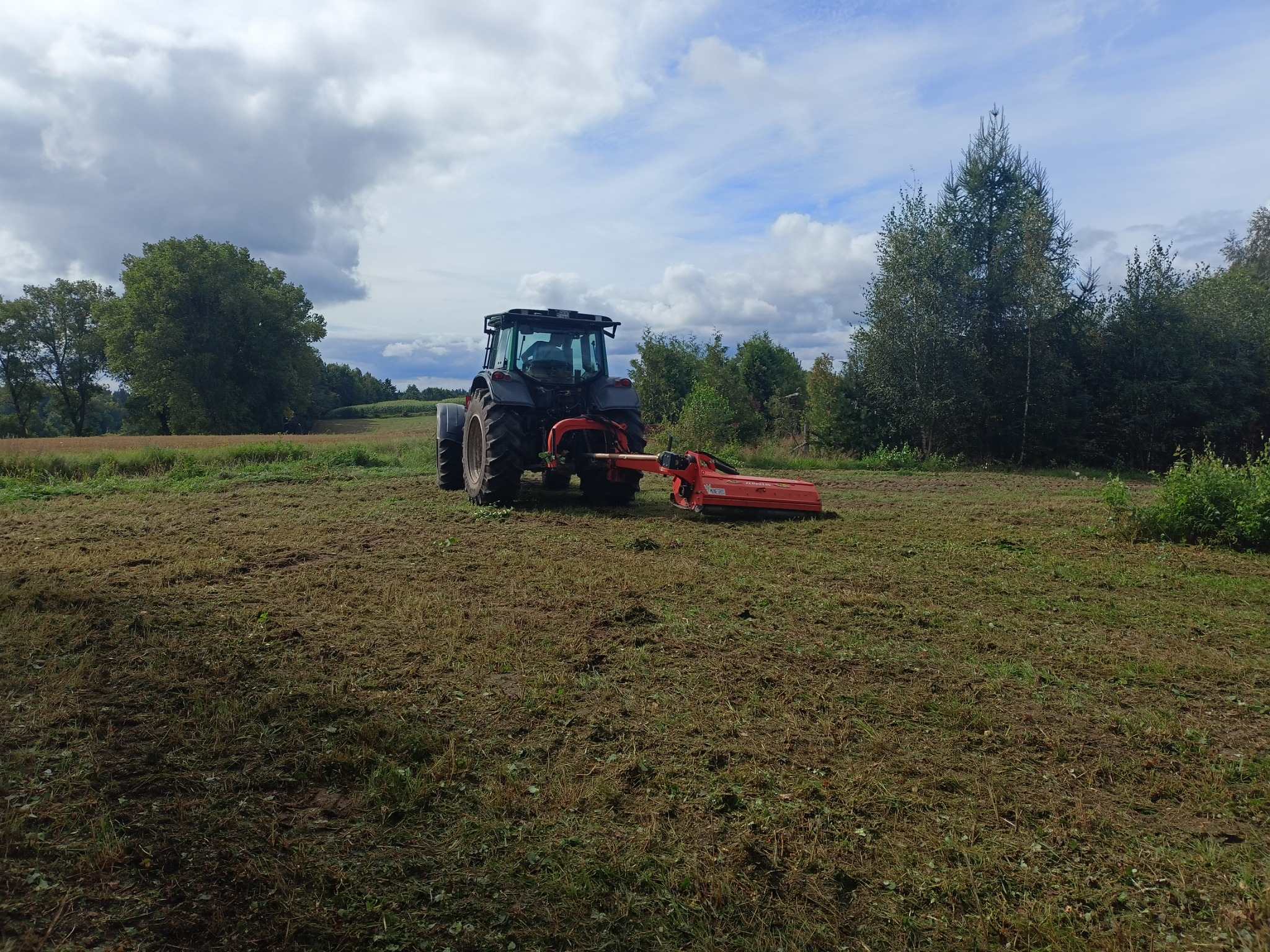 Ciemny traktor z pomarańczową kosiarką bijakową na polu po koszeniu, widok z tyłu, drzewa w tle, pochmurne niebo.