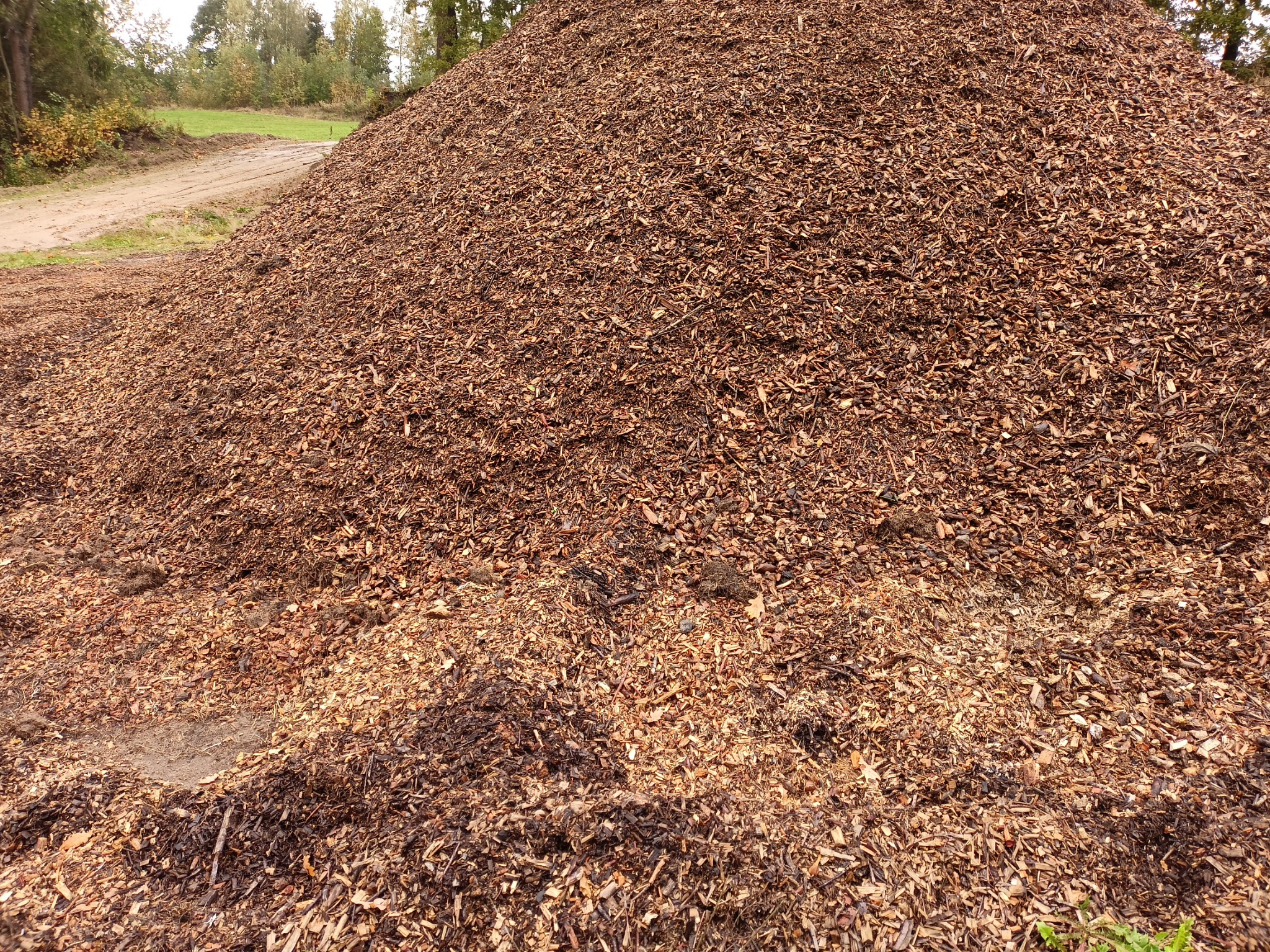 Ogromny stos brązowych zrębków drzewnych na tle zieleni, widoczny fragment drogi gruntowej.
