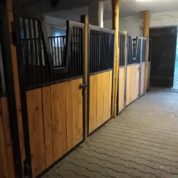 Wnętrze stajni z rzędem drewniano-metalowych boksów dla koni, z widocznym zamknięciem na jeden z nich i wyjściem na zewnątrz.