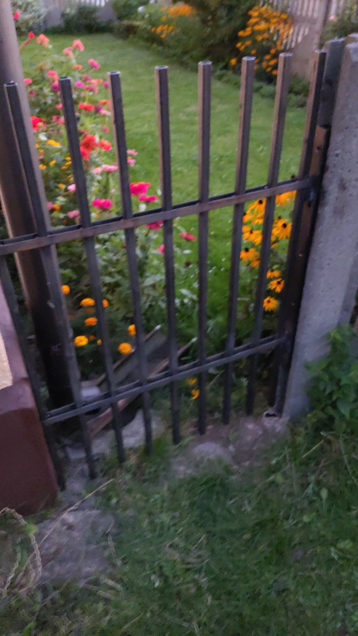 Metalowa furtka ogrodowa z pionowych prętów, widok przez nią na kolorowe kwiaty w ogrodzie, betonowy słupek po prawej stronie.