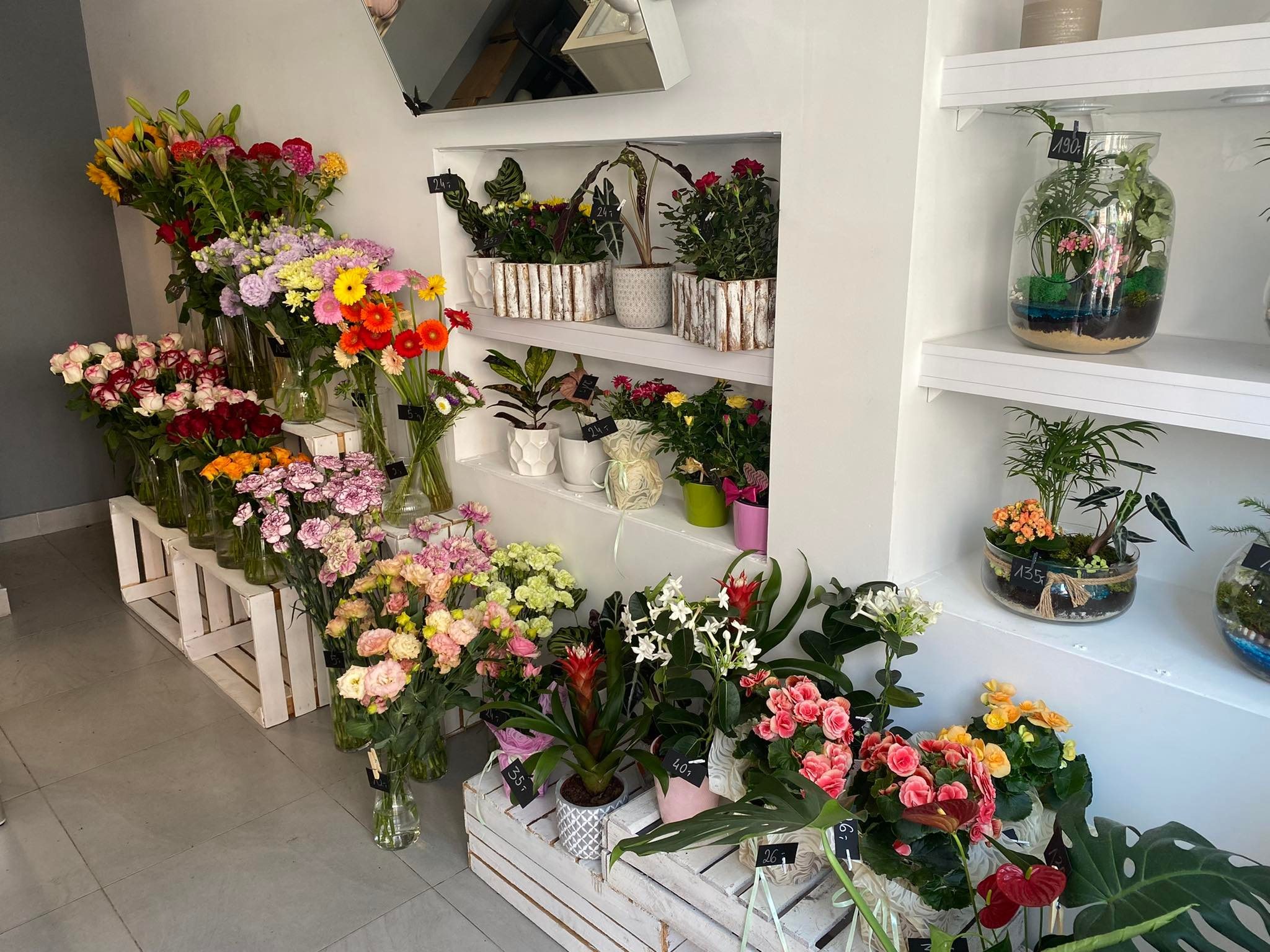 Wnętrze kwiaciarni z różnorodnymi kwiatami ciętymi w wazonach, roślinami doniczkowymi w ozdobnych osłonkach oraz kompozycjami w szklanych naczyniach, ustawionymi na białych półkach i skrzynkach.