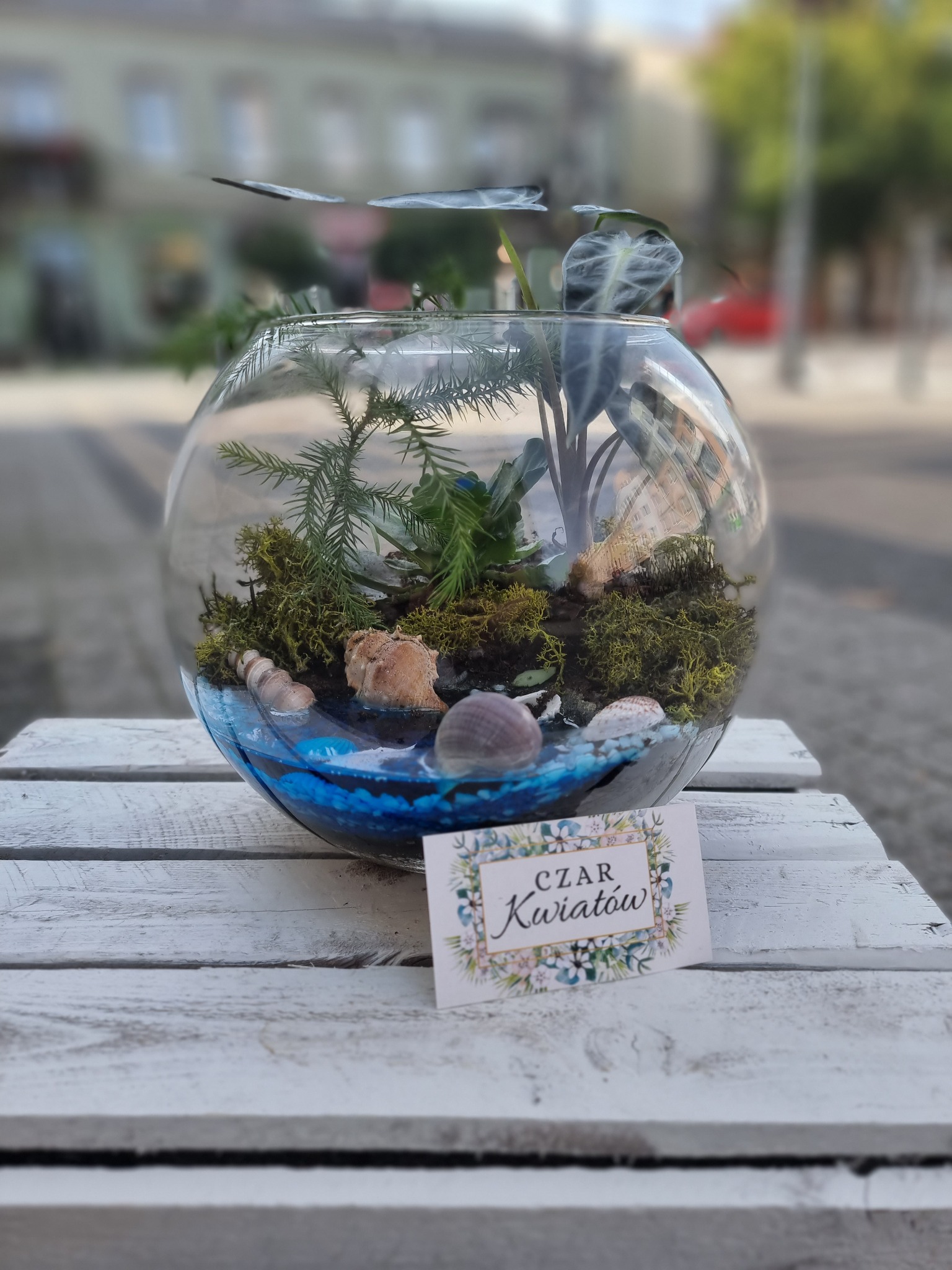 Szklany terrarium w kształcie kuli z roślinami, mchem, muszlami i niebieską imitacją wody, umieszczony na białym, drewnianym stoliku na zewnątrz, z wizytówką firmy florystycznej.