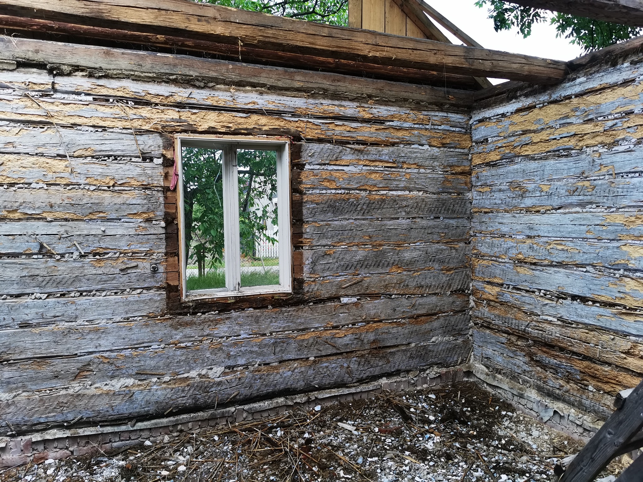Wnętrze starego, drewnianego domu w trakcie renowacji, z odsłoniętymi warstwami drewna i resztkami farby oraz widocznym oknem z zielenią na zewnątrz.