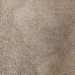 Fragment beżowego dywanu z długim włosiem, widoczna rura od odkurzacza w górnym rogu.