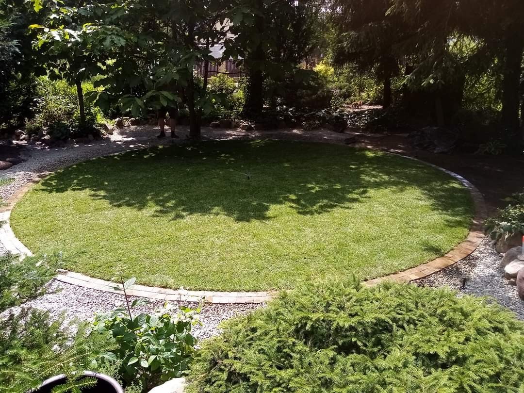 Perfekcyjnie okrągły trawnik otoczony ceglanym obrzeżem i żwirem, zacieniony przez drzewa, z widocznymi krzewami iglastymi na pierwszym planie.