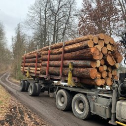 Prodrew Stanisław Dawiec - Surowiec: świerk, modrzew