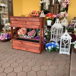 Skład drewna Wiśniowa 1