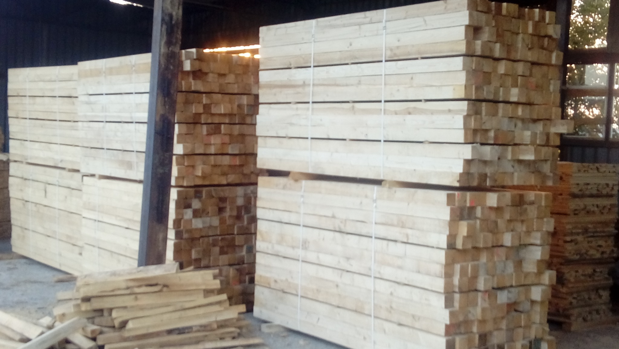 Stosy świeżo przetartego drewna budowlanego, zabezpieczone taśmami, składowane w hali z widocznym światłem w tle i stertą mniejszych kawałków drewna na podłodze.