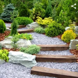 Ścieżka w ogrodzie z drewnianymi stopniami, wysypana szarym żwirem, otoczona roślinami iglastymi, krzewami i kamieniami, z widoczną korą drzewną.