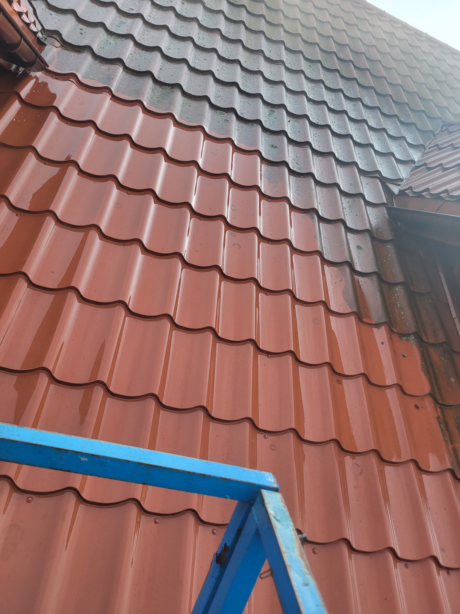 Czerwona blachodachówka po deszczu, widoczna z bliska z fragmentem niebieskiego rusztowania, na części dachu widoczne ślady mchu.