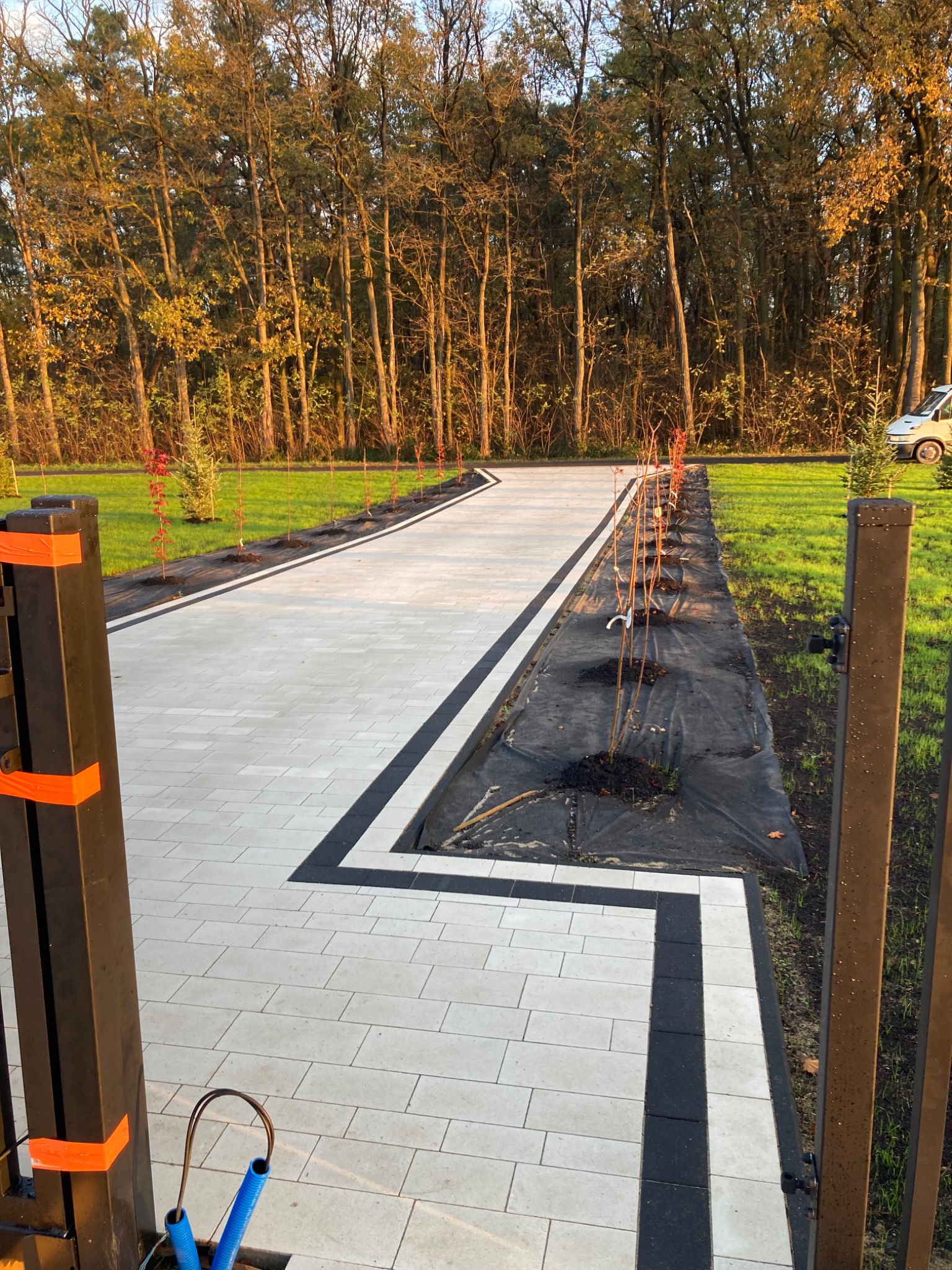 Nowo ułożony chodnik z jasnoszarej kostki brukowej z czarnym obramowaniem, obok posadzone młode drzewka w rzędzie, widok zza metalowej bramy w ciepłym świetle popołudniowego słońca.