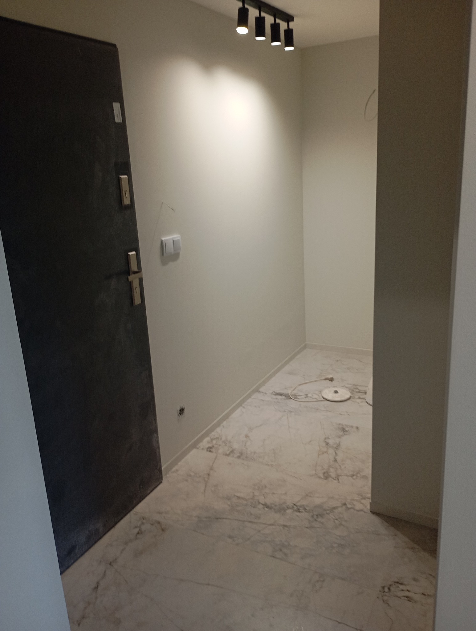 Nowoczesne wykończenie przedpokoju z marmurową podłogą, szara, matowa drzwi wejściowe i czarne oświetlenie sufitowe typu spot.