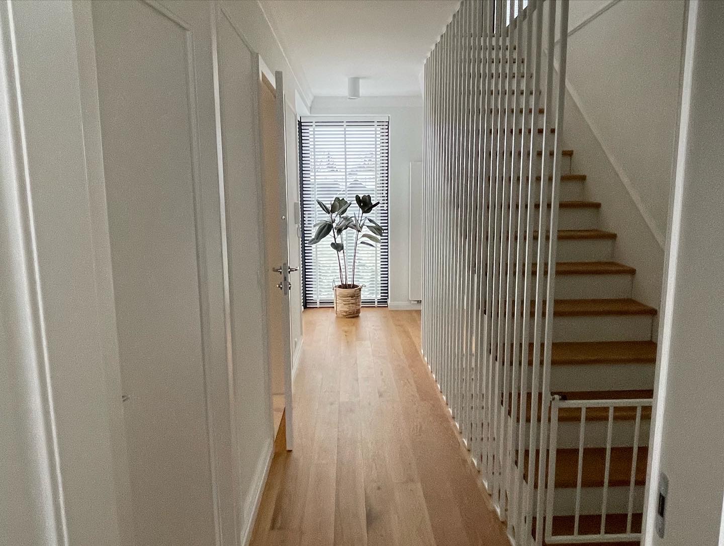 Jasny korytarz z drewnianą podłogą, białymi ścianami i schodami z drewnianymi stopniami, widok na okno z żaluzjami i rośliną doniczkową, minimalistyczny design.