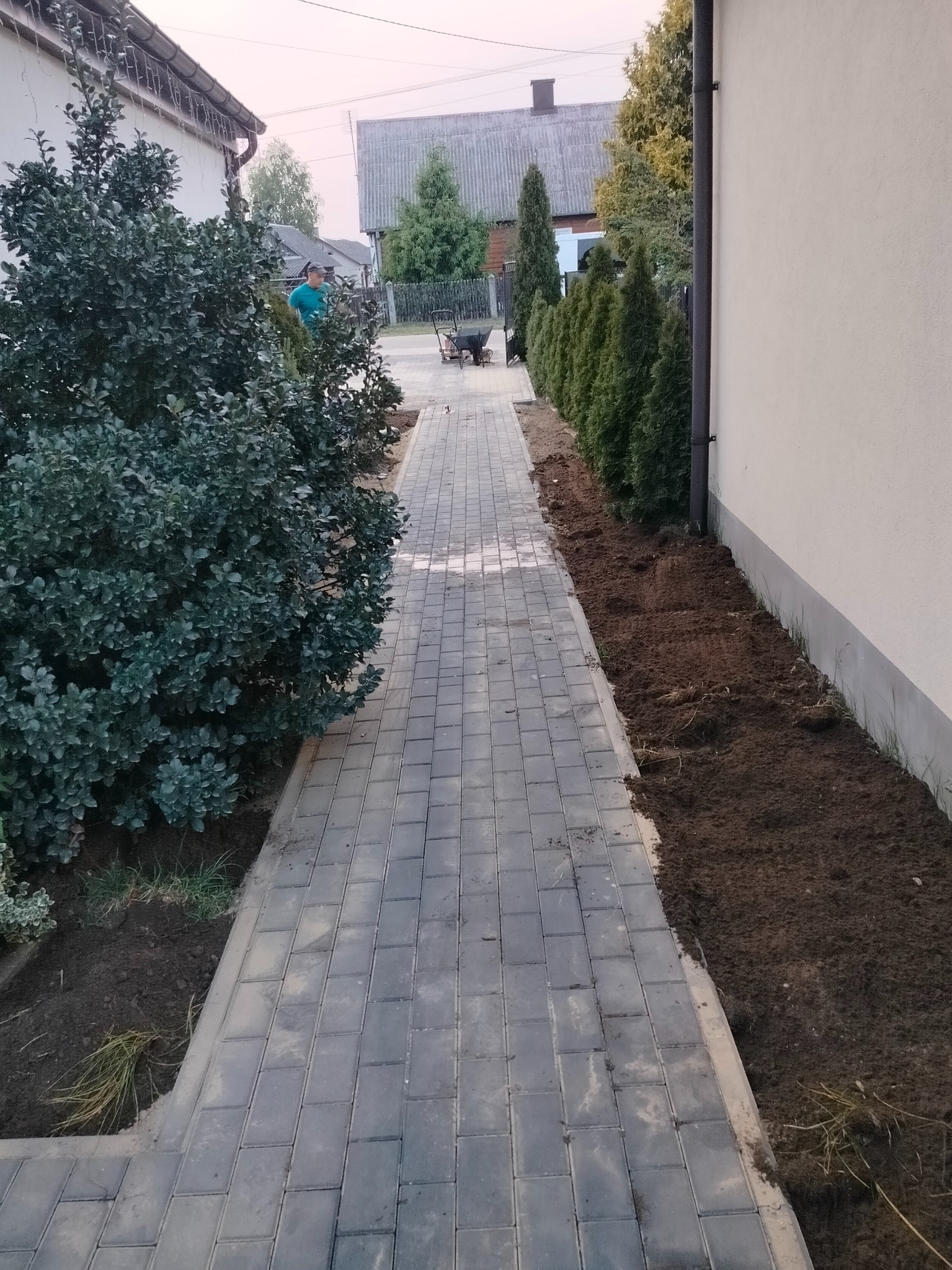 Ułożona kostka brukowa tworząca ścieżkę w ogrodzie, z przygotowanym miejscem na nasadzenia po bokach. Widoczna osoba z wózkiem w tle.