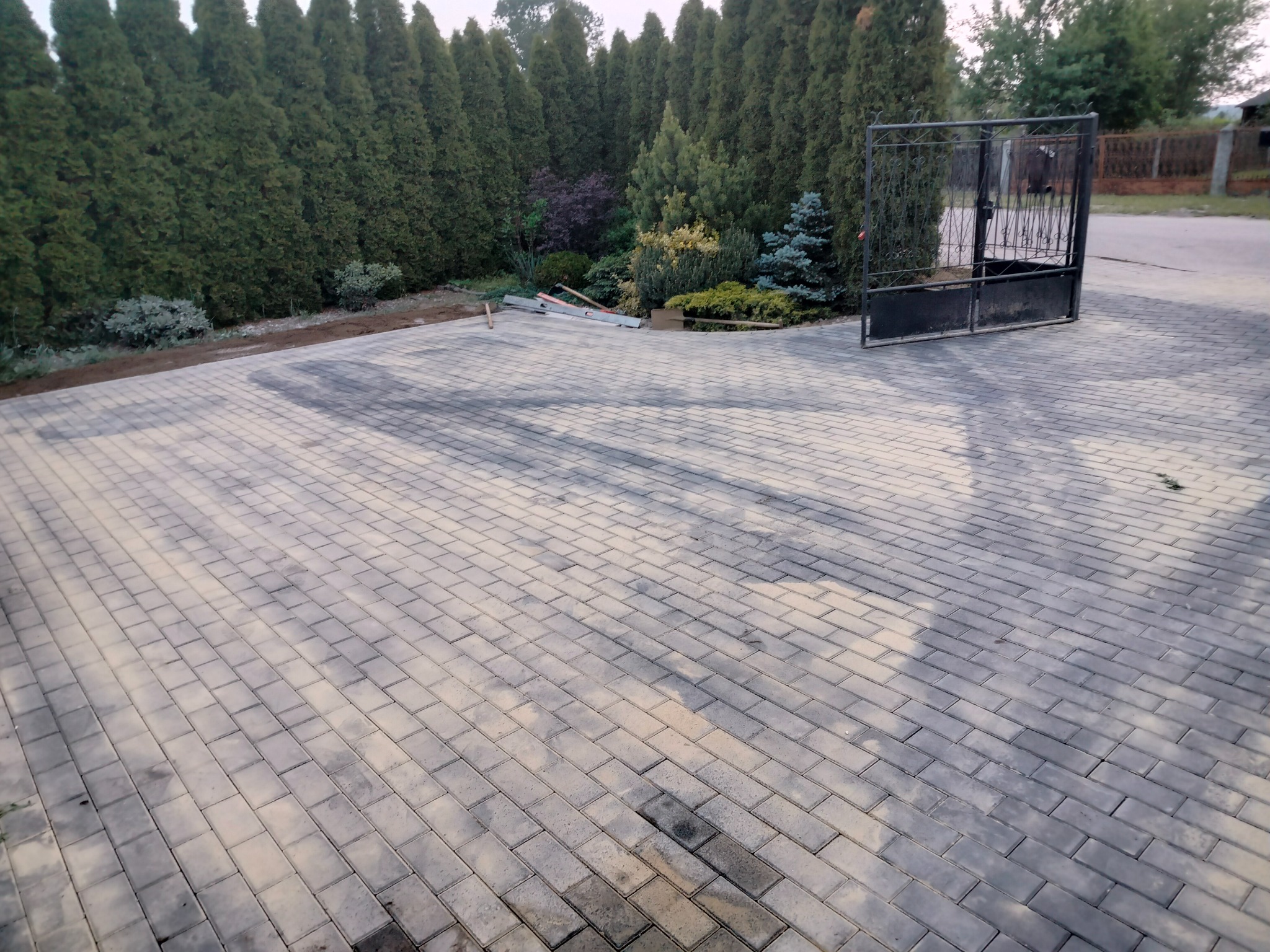 Ułożona kostka brukowa na podjeździe, narzędzia w tle. Żwirowa rabata i wysokie tuje wzdłuż ogrodzenia. Brama wjazdowa z metalu z prawej strony.