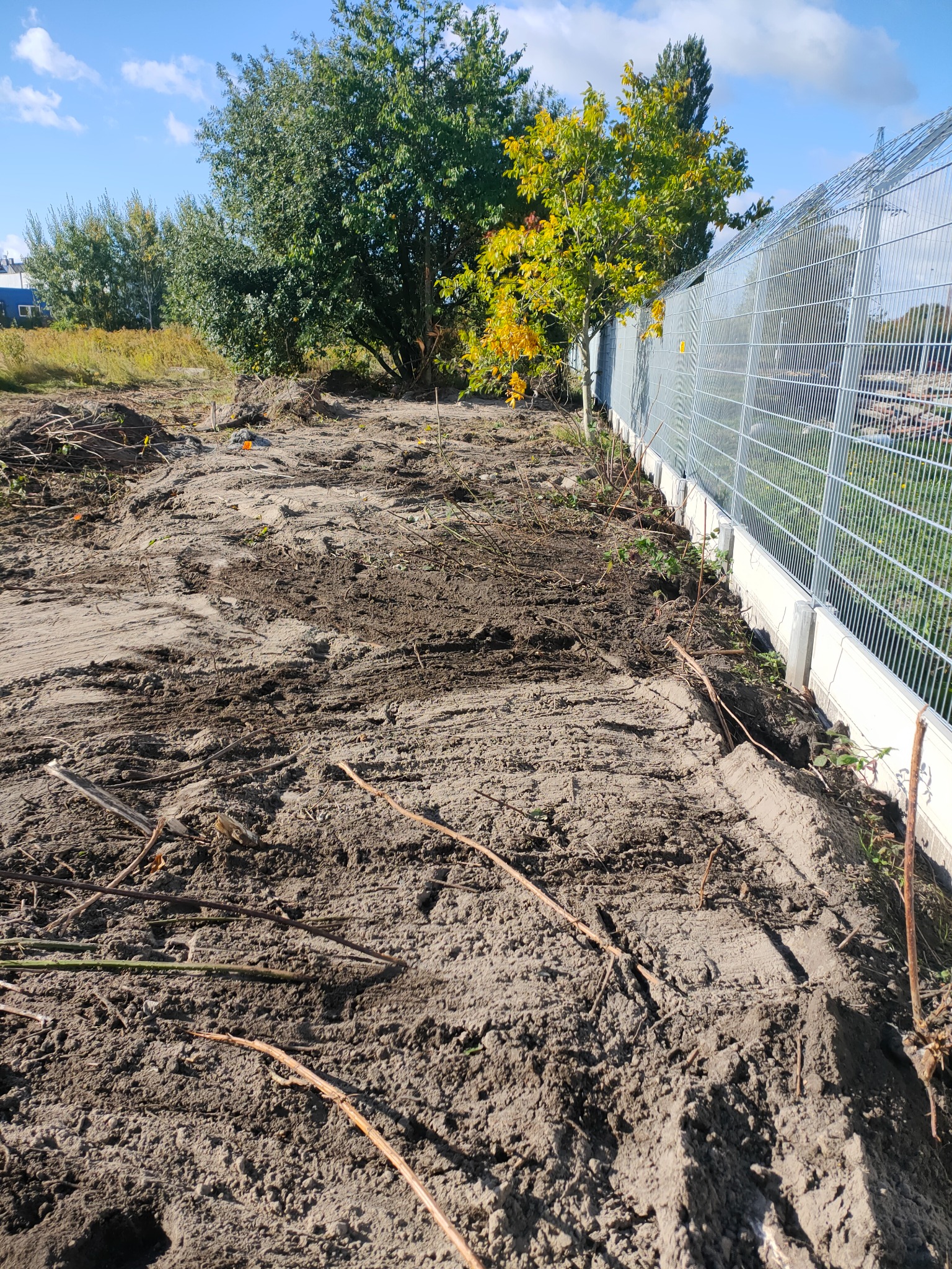 Przygotowany teren pod montaż ogrodzenia panelowego z betonową podmurówką, widoczne ślady po pracach ziemnych i resztki roślinności.