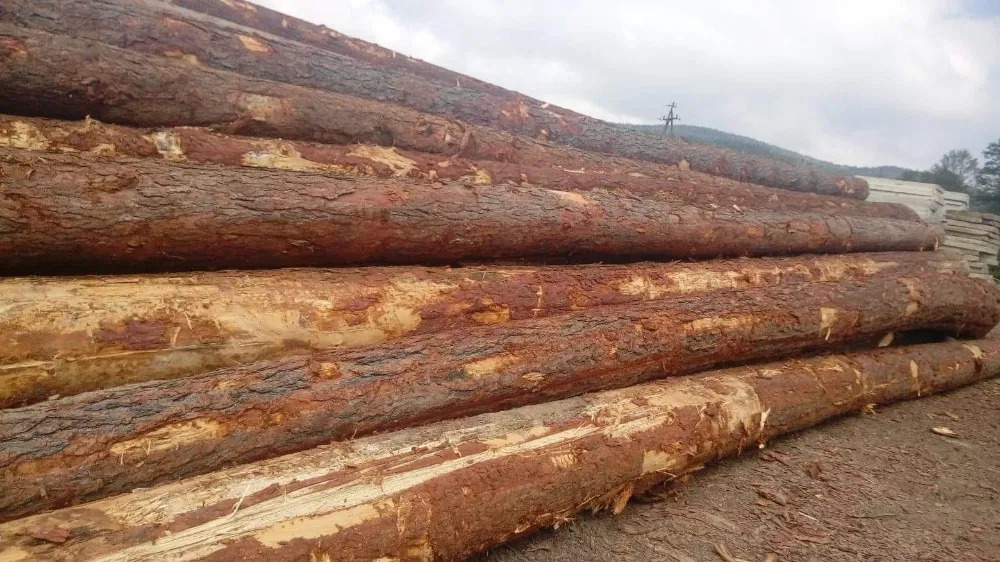 Stos ułożonych kłód drewna iglastego z widoczną korą, w tle słupy energetyczne i zalesione wzgórze.