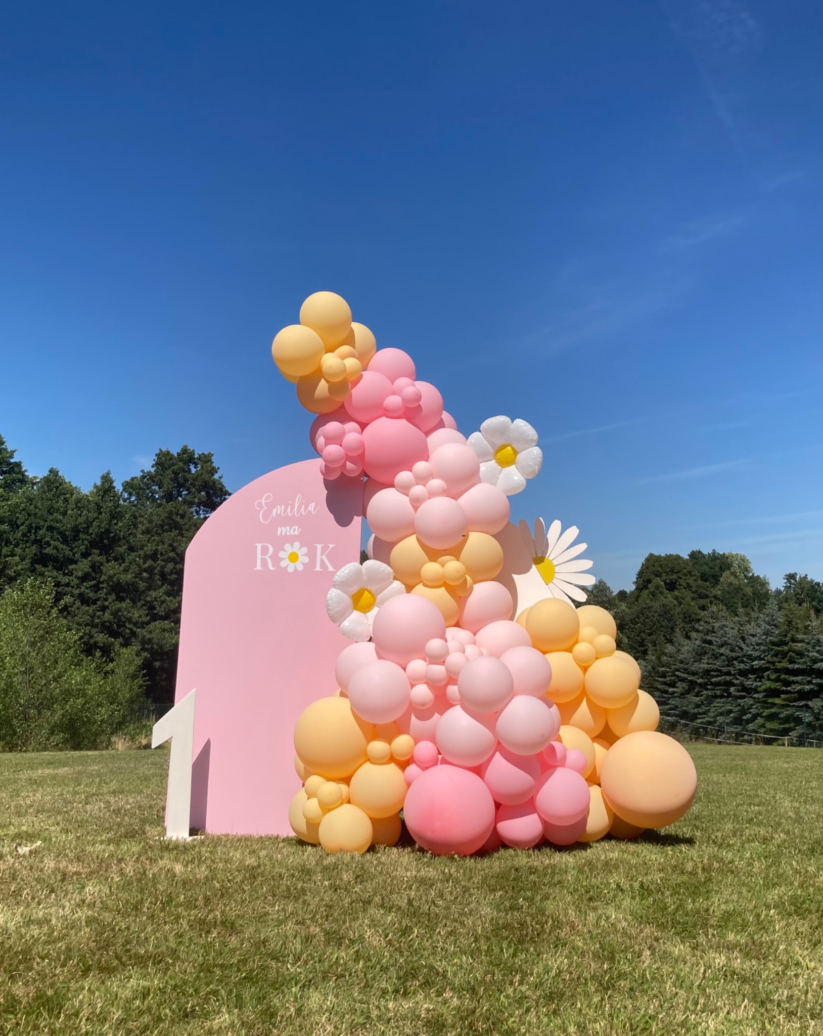 Dekoracja urodzinowa na trawie: różowe tło z napisem 'Emilia ma Rok', girlanda z różowych i żółtych balonów oraz białe kwiaty.