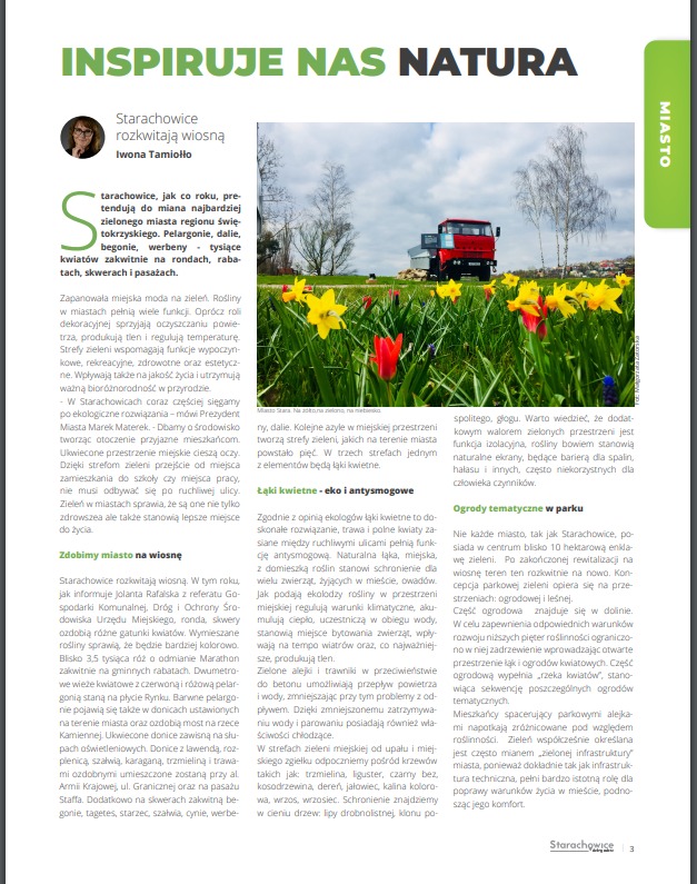 Żółte i czerwone tulipany na tle miejskiego krajobrazu z czerwonym samochodem ciężarowym w oddali, symbolizujące miejskie nasadzenia kwiatowe i dbałość o zieleń.